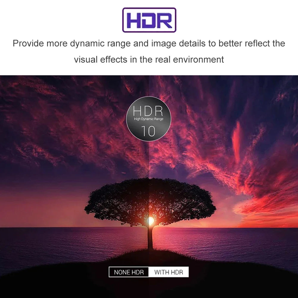 S5e42ceac18164bf9bba5754f7d216a6aY